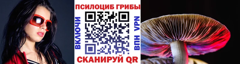 где продают наркотики  omg рабочий сайт  Галлюциногенные грибы мицелий  Сысерть 